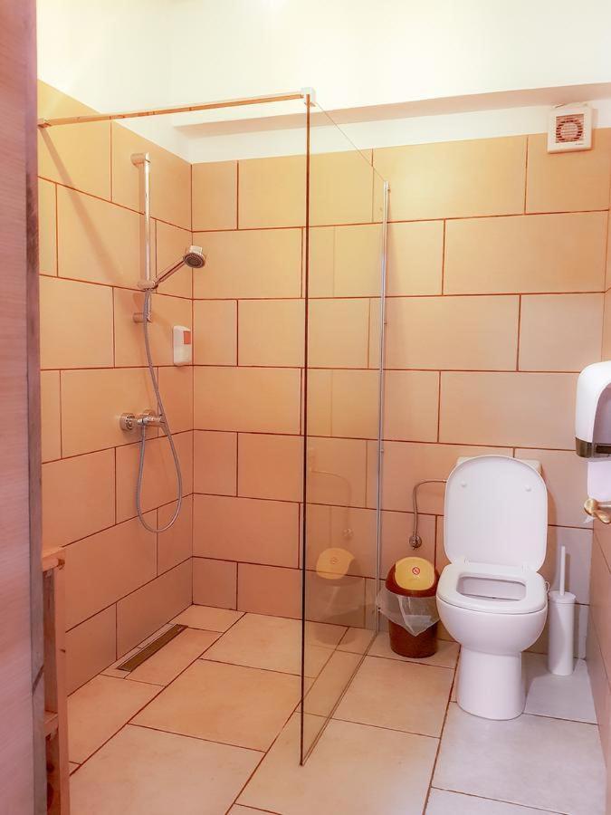Casa Lazaroiu בית הארחה 3*